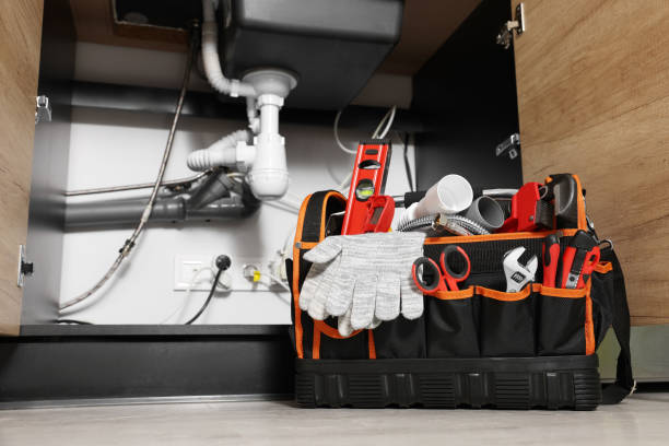 Best Same-Day Plumbing Service  in Fort Thompson, SD